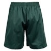 NEW FIT Shorts - bottle green